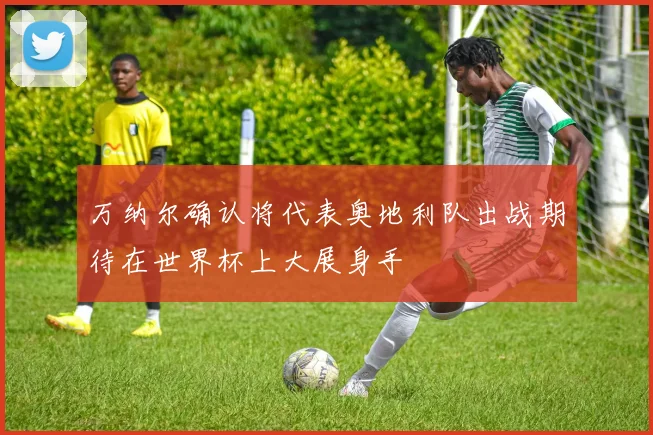 万纳尔确认将代表奥地利队出战期待在世界杯上大展身手
