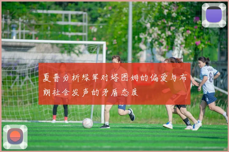 夏普分析绿军对塔图姆的偏爱与布朗社会发声的矛盾态度